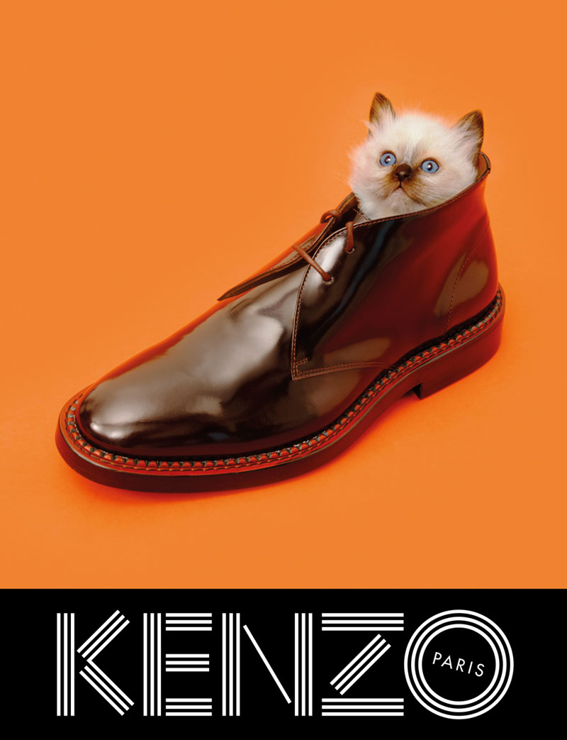 kenzo fall campaign5