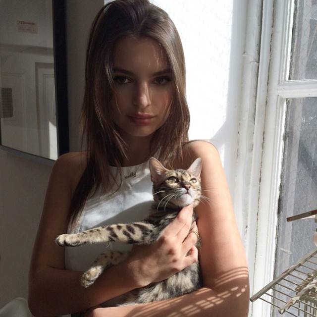 Emily Ratajkowski looks cozy with her cat Tarzan