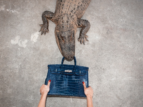 birkin-alligator-tyler-shields1