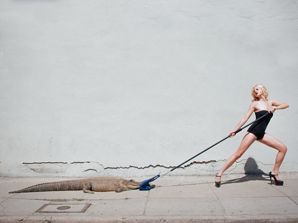 birkin-alligator-tyler-shields2