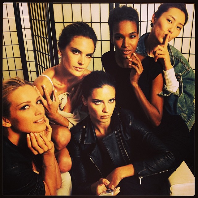 Adriana Lima, Petra Nemcova, Alessandra Ambrosio, Arlenis Sosa and Liu Wen share the spotlight