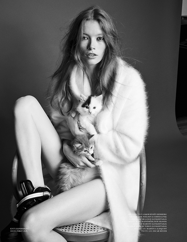 julia-hafstrom-cat8
