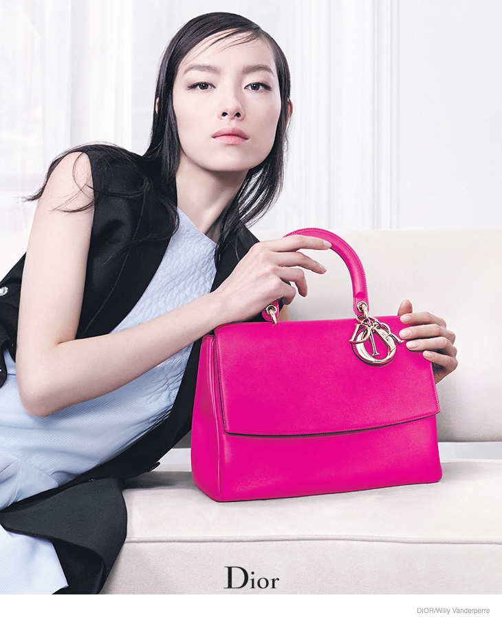 dior accessories 2014 fall ad campaign01 Fei Fei Sun & Julia Nobis Model Dior Accessories for Fall 2014 Ads