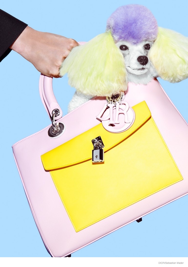 dior-bags-fashion-shoot-2014-05