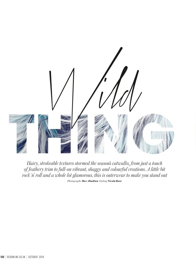 wild-thing-title-page