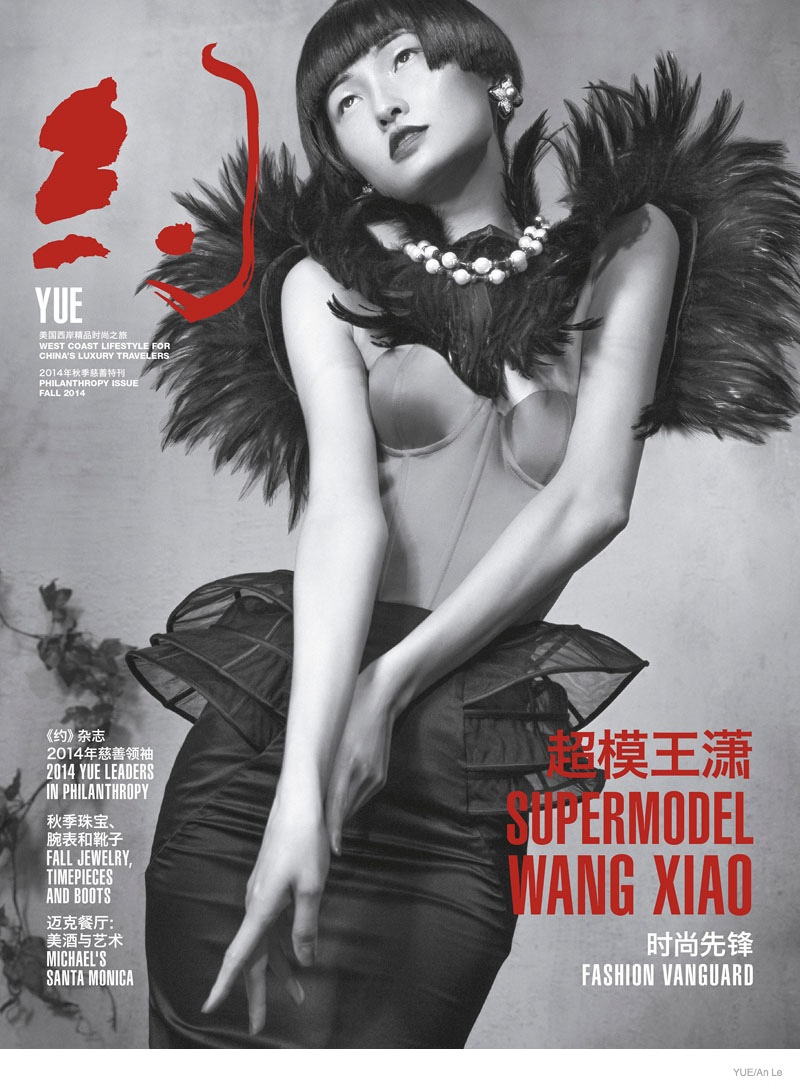 wang-xiao-model06