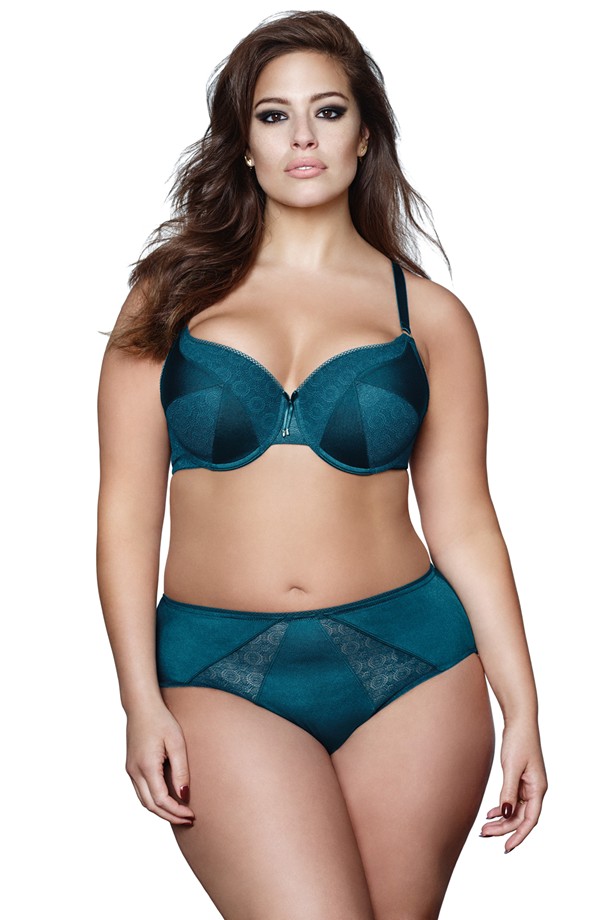 Ashley Graham High Cut Lace Briefs