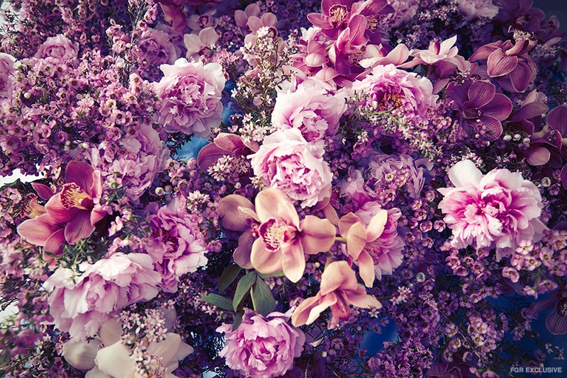 Lily-Nova-Flowers-Editorial02