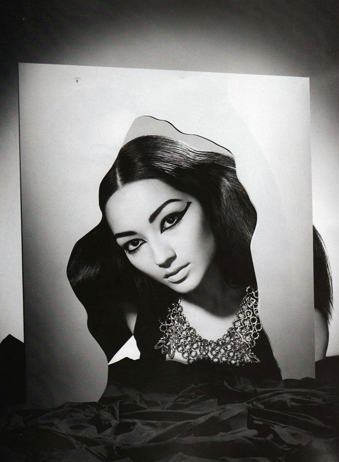 Photo of the Day | A Face for Stardom
