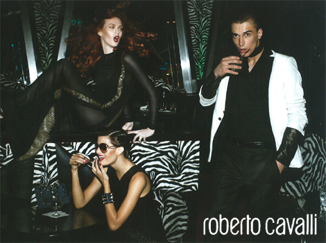 Roberto Cavalli Fall/Winter 09.10
