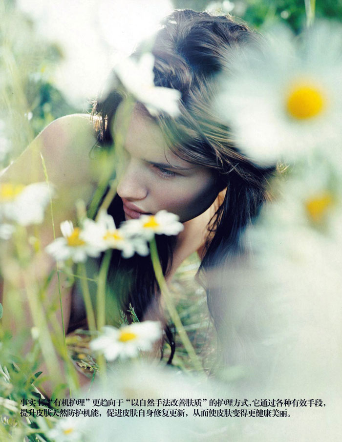 A Look Back | Natural Beauty