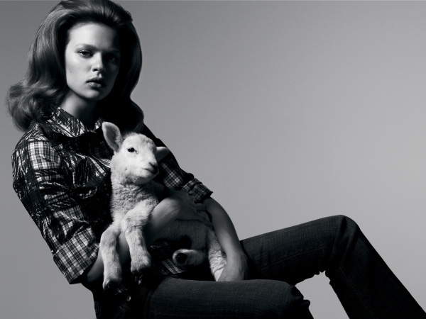 Photo of the Day | Little Lamb
