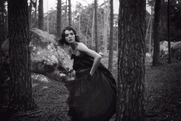 Photo of the Day | The Woods