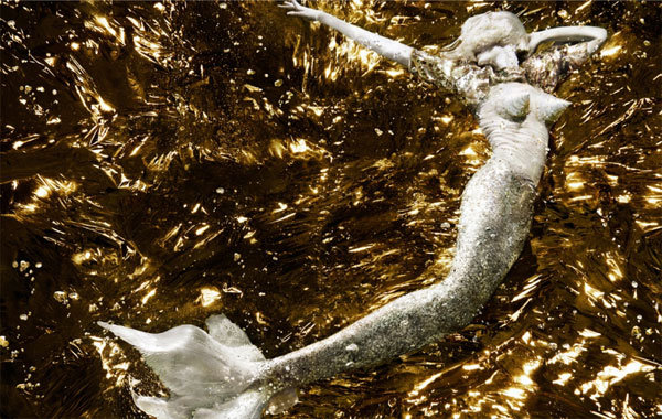 Photo of Day | Gold Dust