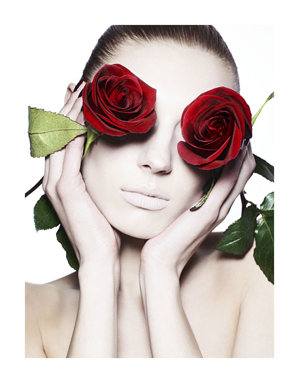 Photo of the Day | Pale Roses