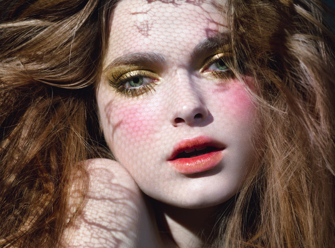 Photo of the Day | Close-up