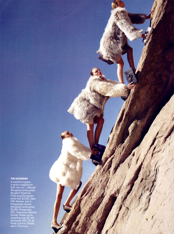 Photo of the Day | Climbing to the Top