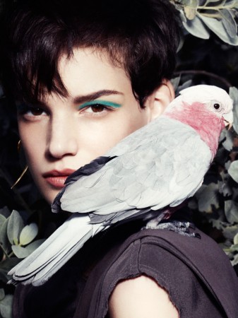 Jessica Pitti Gets Feathered for Tatler Russia June 2013 by Marcus Ohisson Jessica Pitti Gets Feathered for Tatler Russia June 2013 by Marcus Ohisson