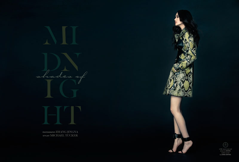 Li Wei by Zhang Jingna in "Shades of Midnight" for Fashion Gone Rogue