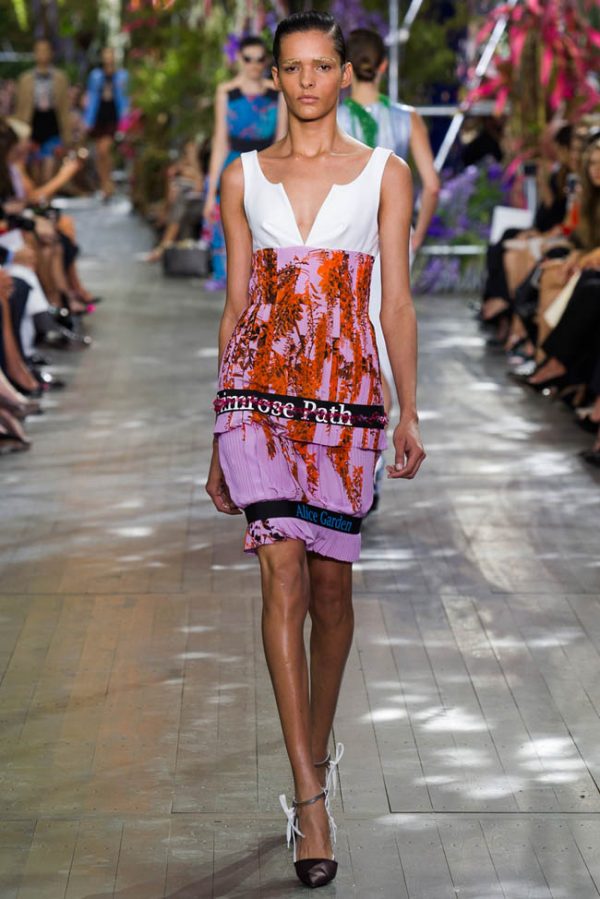 Dior Spring/Summer 2014 | Paris Fashion Week – Fashion Gone Rogue