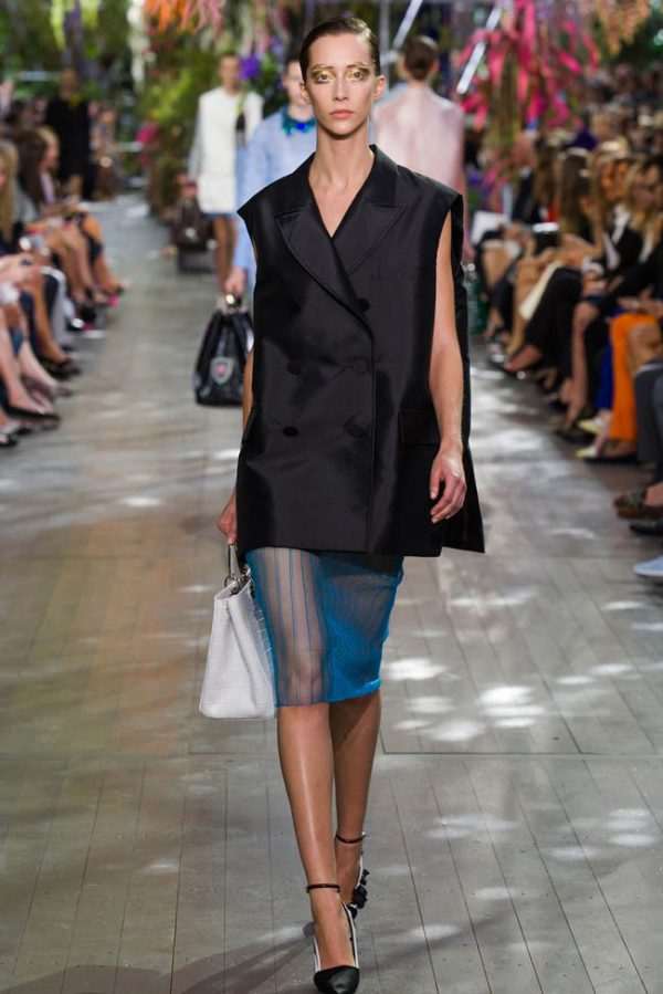Dior Spring/Summer 2014 | Paris Fashion Week – Fashion Gone Rogue