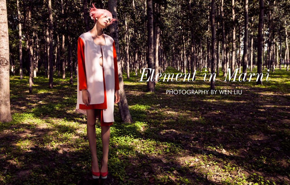 Kristina by Wen Liu in "Element in Marni" for Fashion Gone Rogue