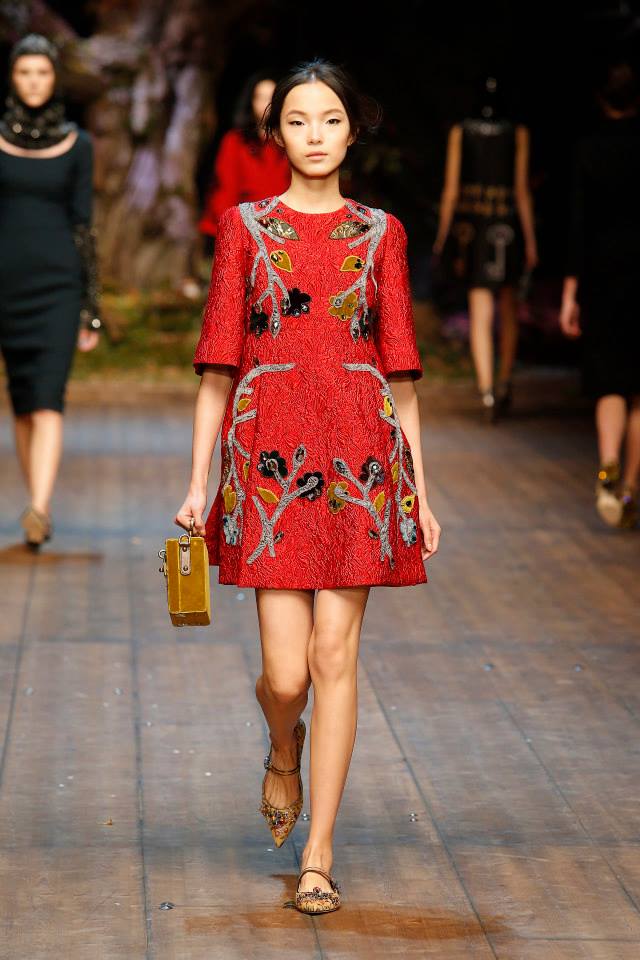 Dolce & Gabbana Fall/Winter 2014