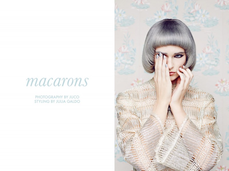 Macarons juco updated