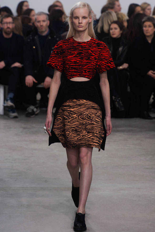 Proenza Schouler Fall/Winter 2014/15 by David Sims