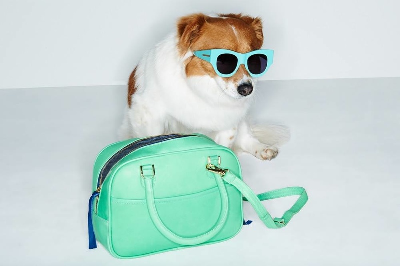 Cute Alert: Shopbop Enlists Dogs to Model Spring Accessories