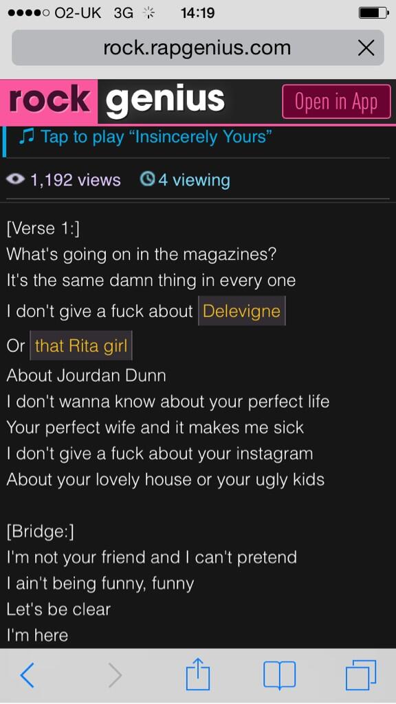 A screen cap of the song lyrics that had Jourdan Dunn upset. Image: model's Twitter