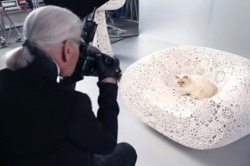 Karl Lagerfeld’s Cat Choupette to Star in Holiday Makeup Ad for Shu Uemura Karl Lagerfeld’s Cat Choupette to Star in Holiday Makeup Ad for Shu Uemura