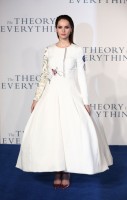 Felicity Jones Wears Dior Haute Couture Dress at "The Theory of Everything" UK Premiere