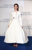 Felicity Jones Wears Dior Haute Couture Dress at "The Theory of Everything" UK Premiere Felicity Jones Wears Dior Haute Couture Dress at "The Theory of Everything" UK Premiere