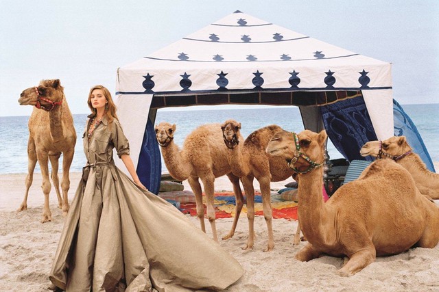 Ralph Lauren Taps Sanne Vloet (and 5 Camels) for Spring 2015 Campaign