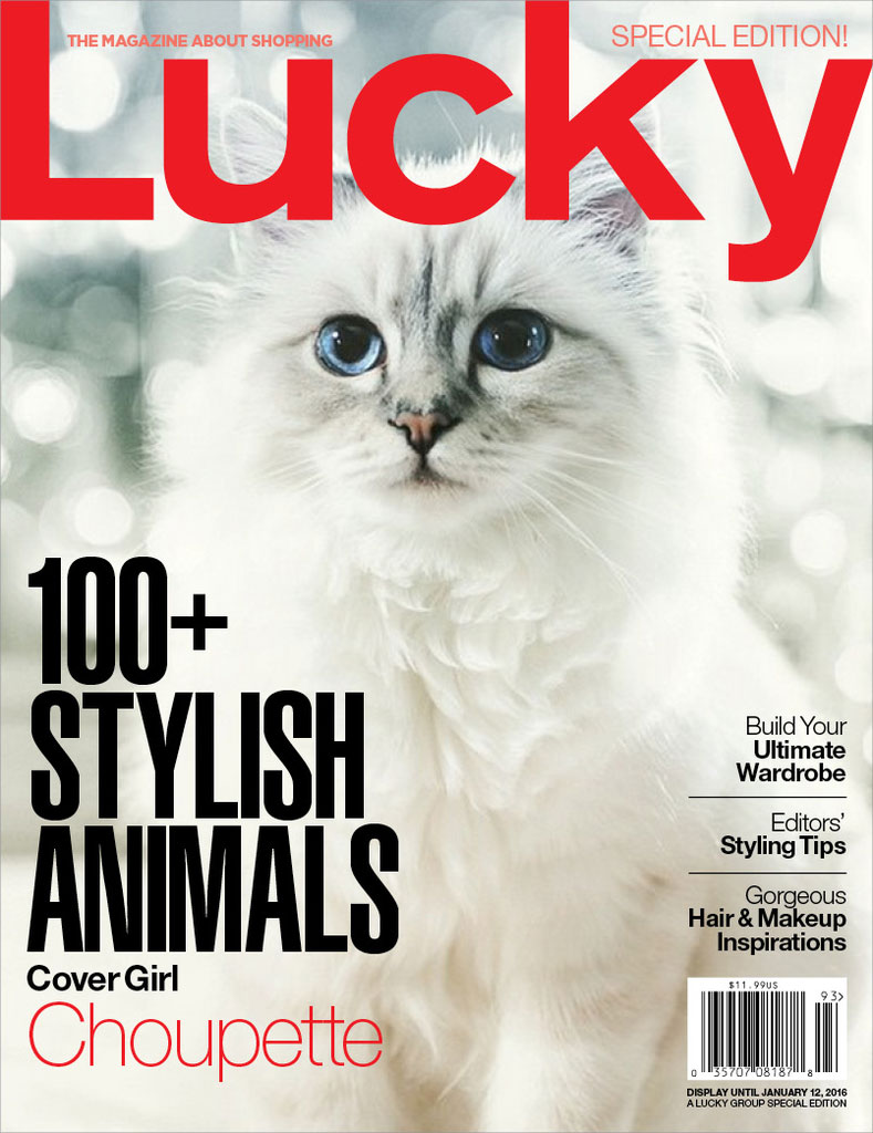 Choupette Lagerfeld covers special edition issue of Lucky.