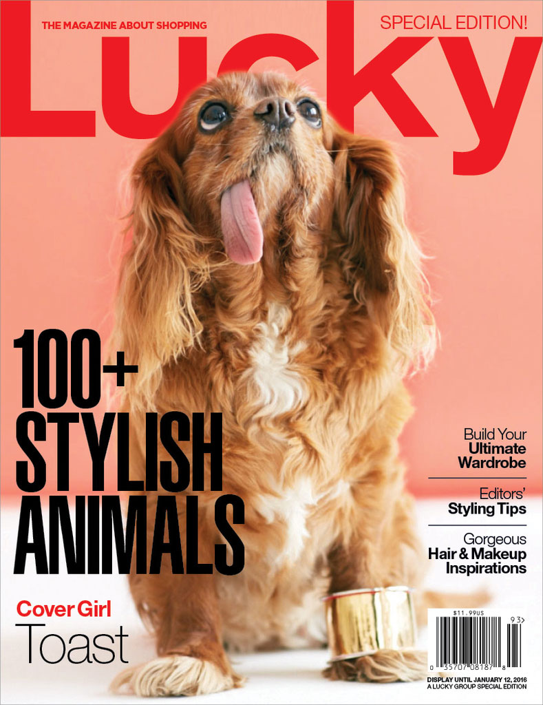 Toast covers special edition issue of Lucky. 