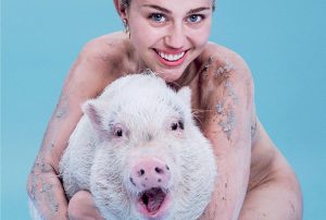 Miley Cyrus Poses Naked with a Pig on Paper Magazine Cover