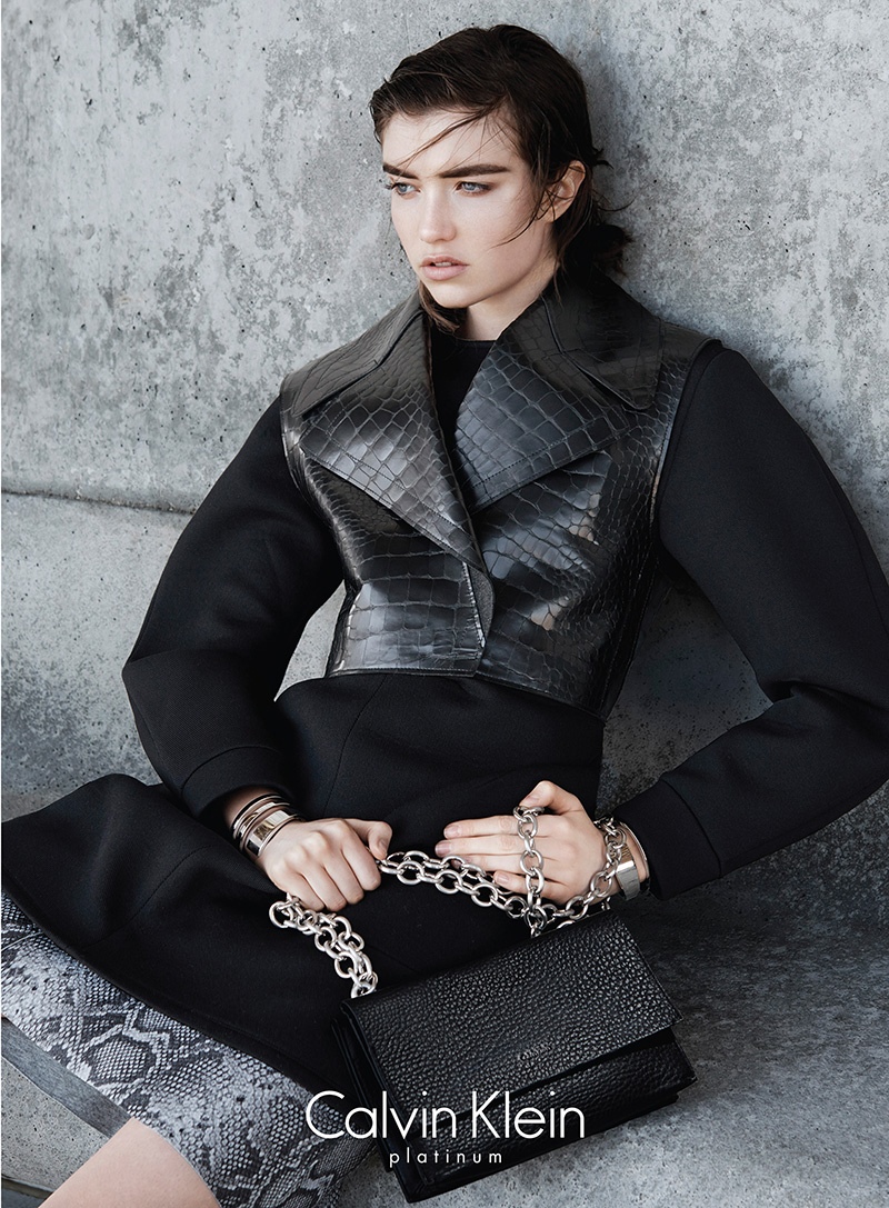 veel plezier Catastrofe Kelder Calvin Klein Platinum Fall 2015 Ad Campaign