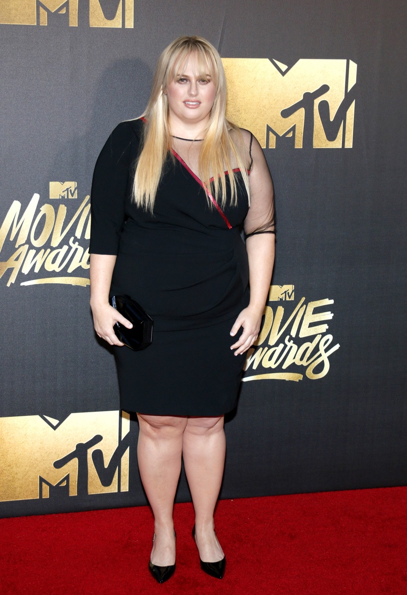 Rebel Wilson sported a black Marina Rinaldi dress with sheer detail. Photo: Tinseltown / Shutterstock.com