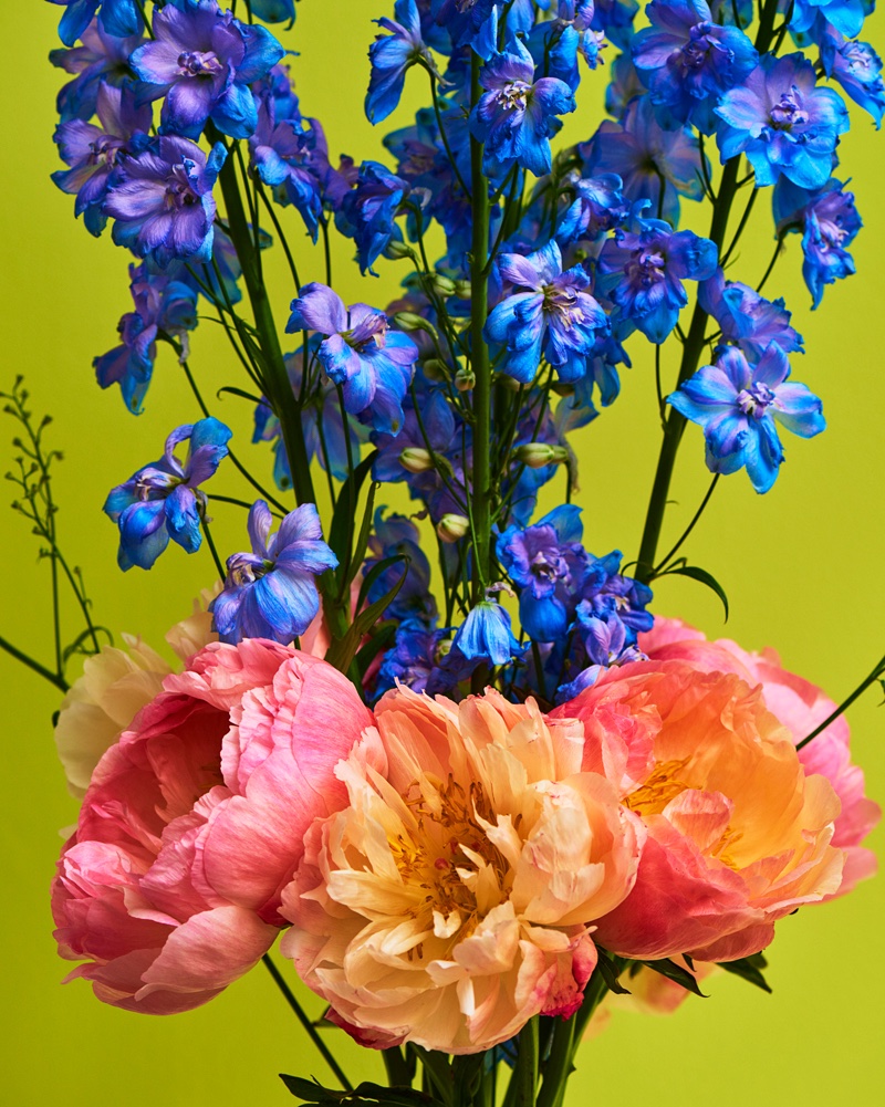 Exclusive: Photographer Mariano Vivanco on His New Book 'Portraits Nudes Flowers'
