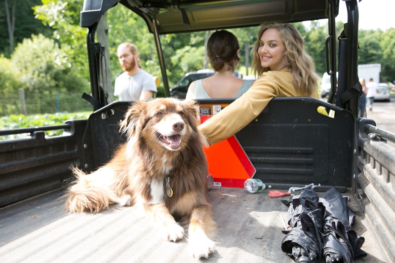 Posing in a truck, Amanda Seyfried wears a Dries Van Noten silk top