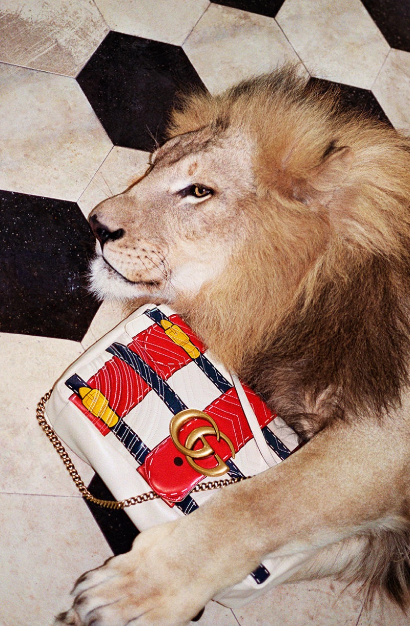 Italian fashion brand Gucci features a lion in its spring 2017 campaign