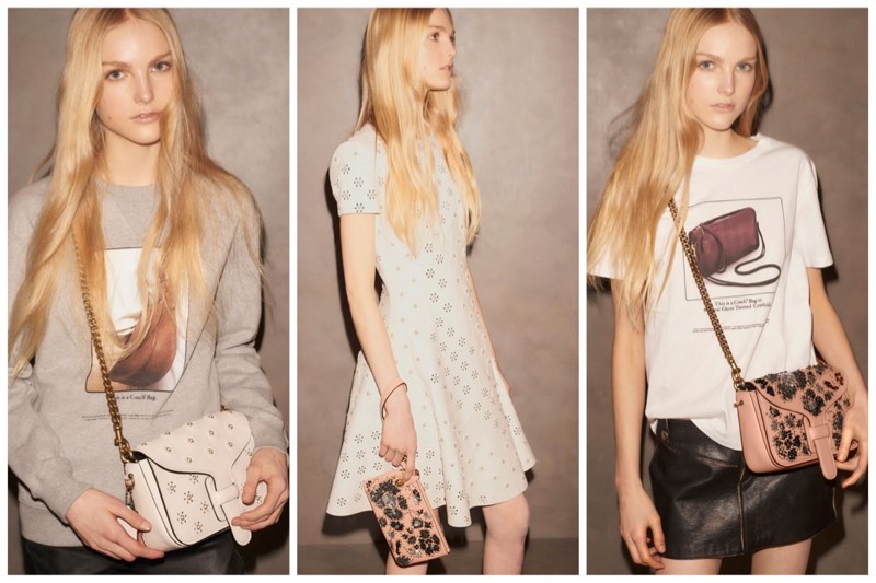 coach rodarte bag