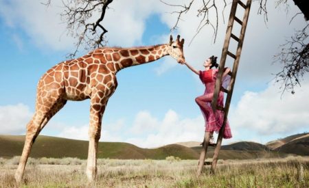 Fei Fei Sun Goes On a Fashion Safari for South Coast Plaza Posing with a giraffe, Fei Fei Sun models fuchsia Valentino gown