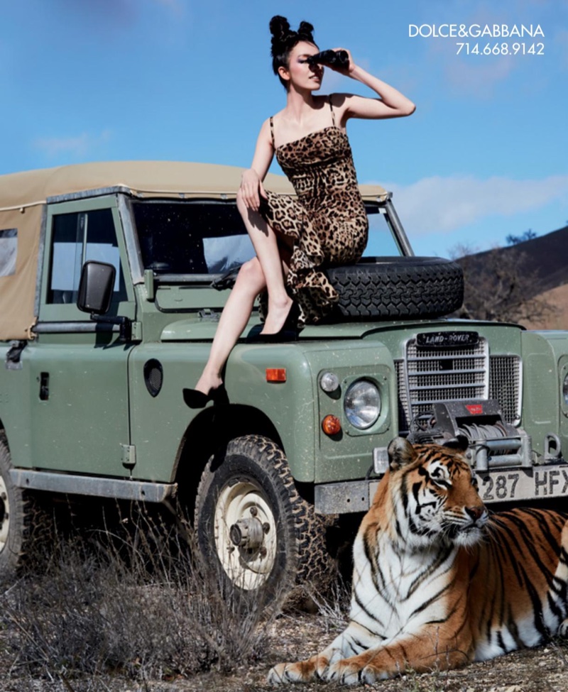 With a tiger by her side, Fei Fei Sun models Dolce & Gabbana leopard print dress