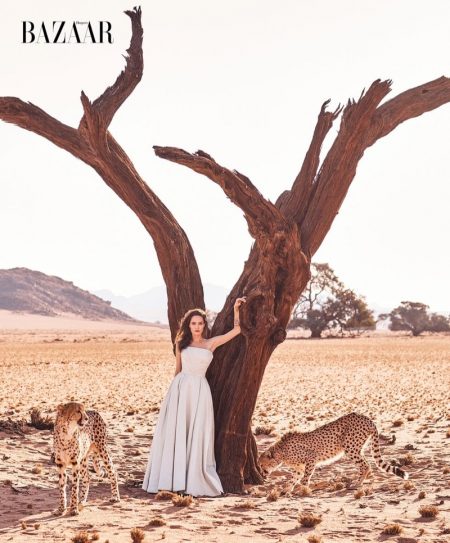 Angelina Jolie Stars in Harper's Bazaar, Talks Saving Endangered Animals Posing with cheetahs, Angelina Jolie wears Atelier Versace gown