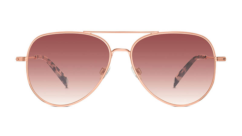 Warby Parker Raider Large Sunglasses in Rose Gold $145