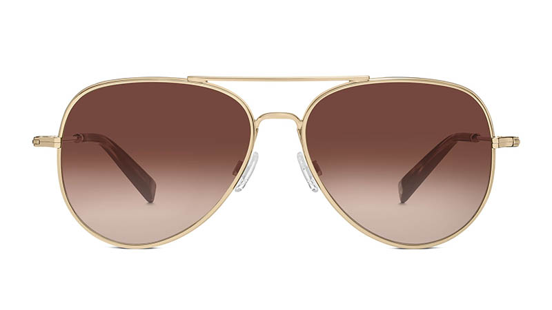 Warby Parker Raider Sunglasses in Gold with Brown Gradient Lenses $145