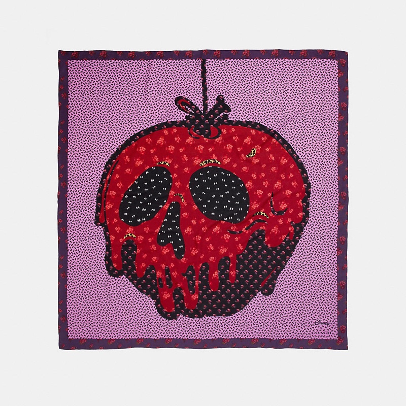 Disney x Coach Poison Apple Patchwork Scarf $250